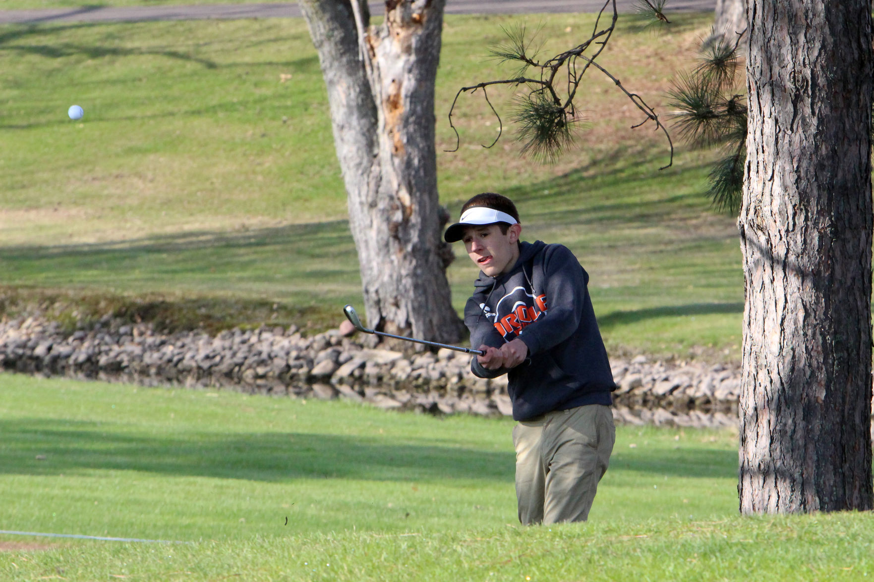 Cloverbelt-Dairyland boys golf invite at Lake Wissota golf 4-29-19